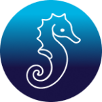 Seahorse icon decal