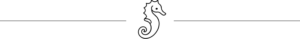 seahorse black icon
